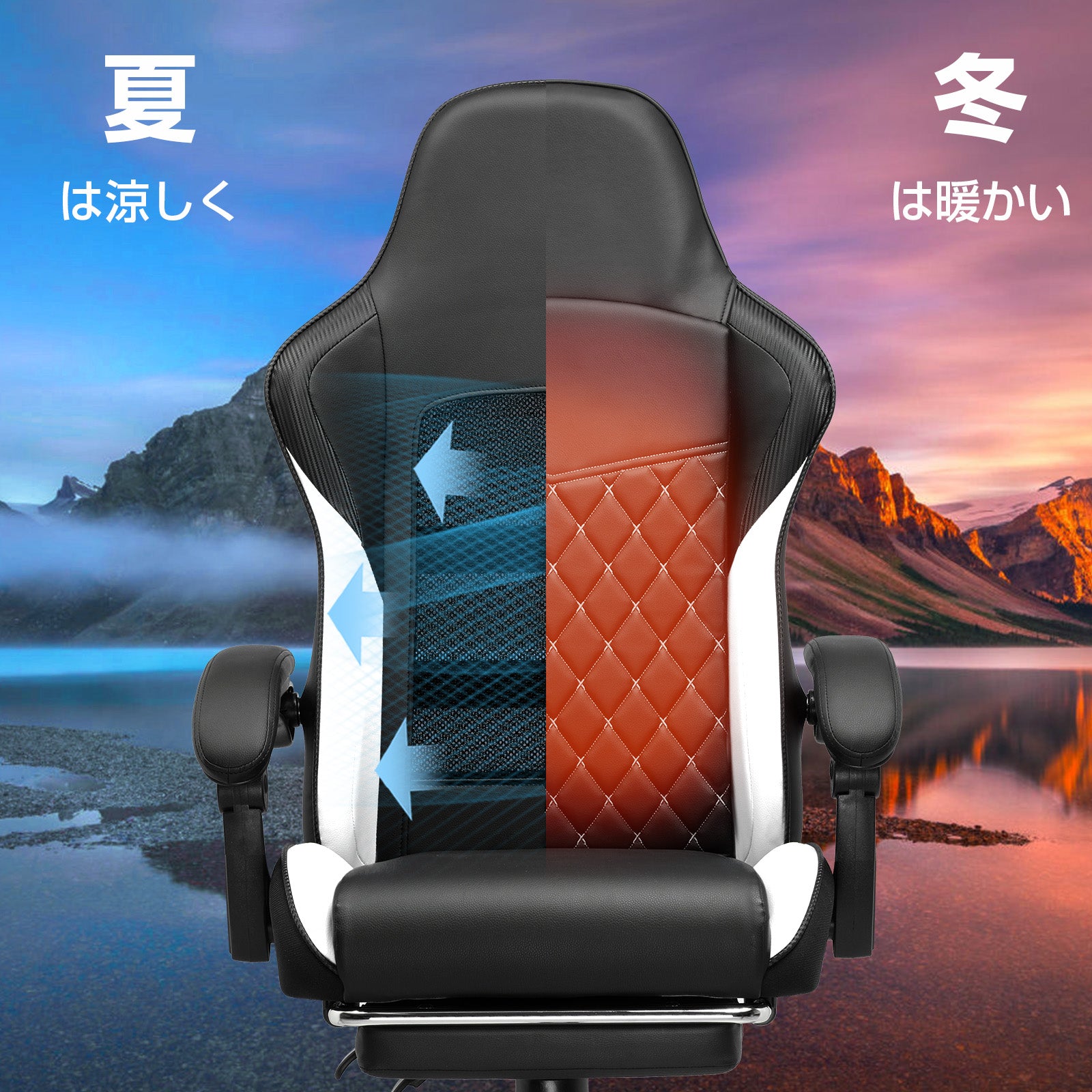 カラー_ホワイト