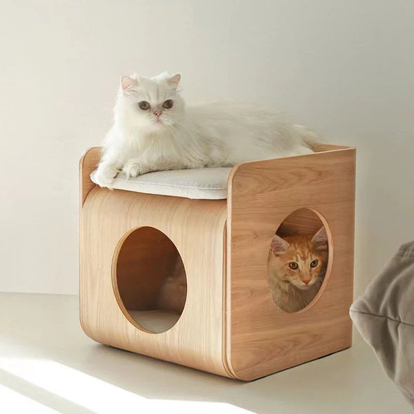 CAT HOUSE DT50用サイレンサー　キャットハウス YAMAHA DT50 | CAT HOUSE（キャットハウス）